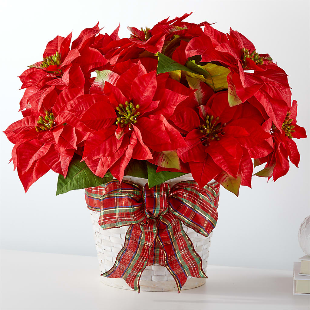 Happiest Holidays Poinsettia – Illusion Flower Shop, Houston TX