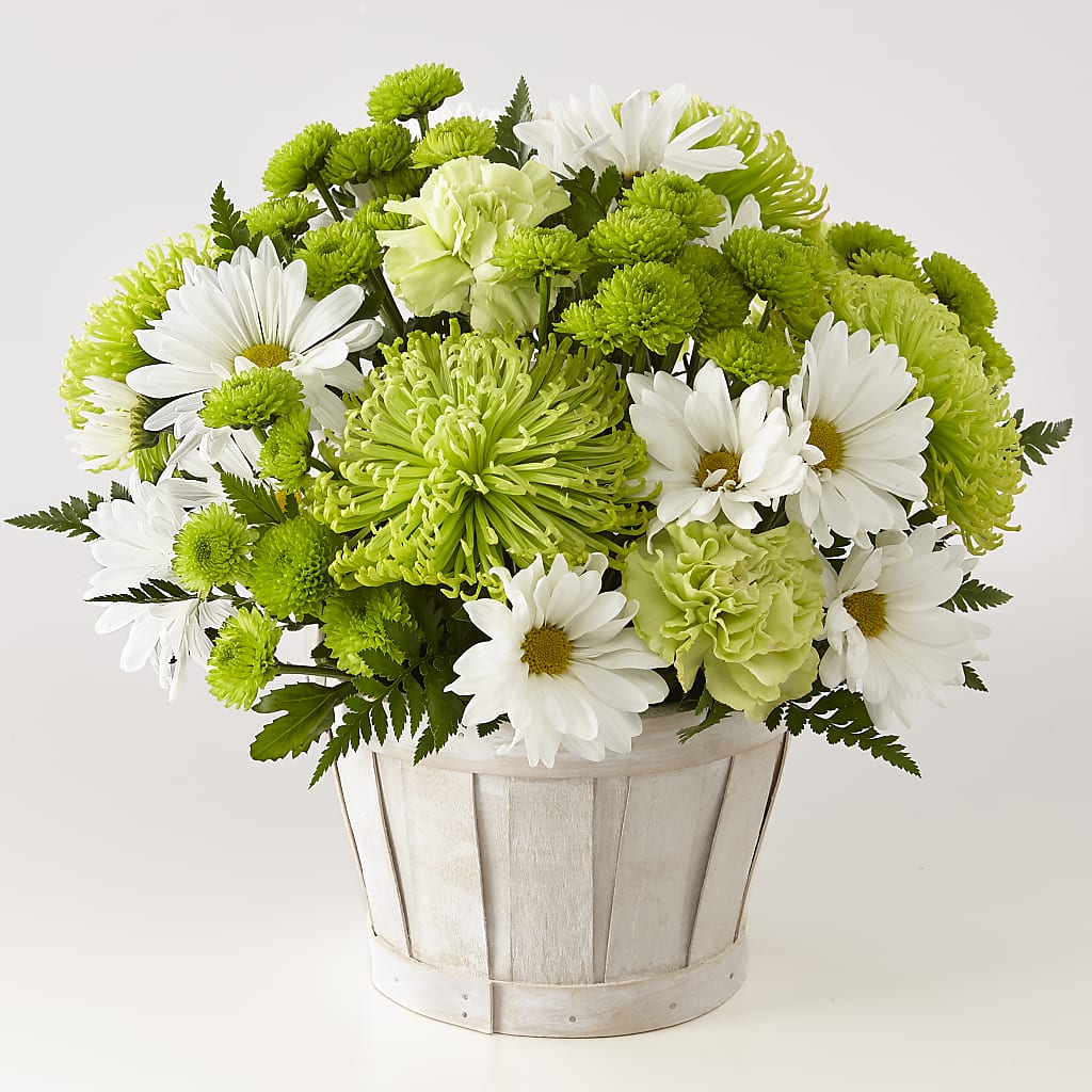 Lucky Charm Basket (Standard) – Illusion Flower Shop, Houston TX