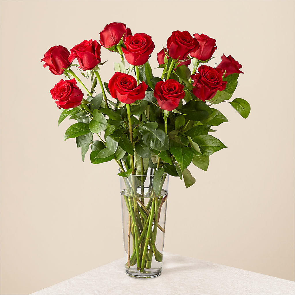 Long Stem Red Rose Bouquet – Illusion Flower Shop, Houston TX