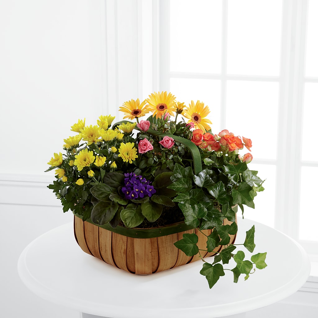 Gentle Blossoms Basket – Illusion Flower Shop, Houston TX
