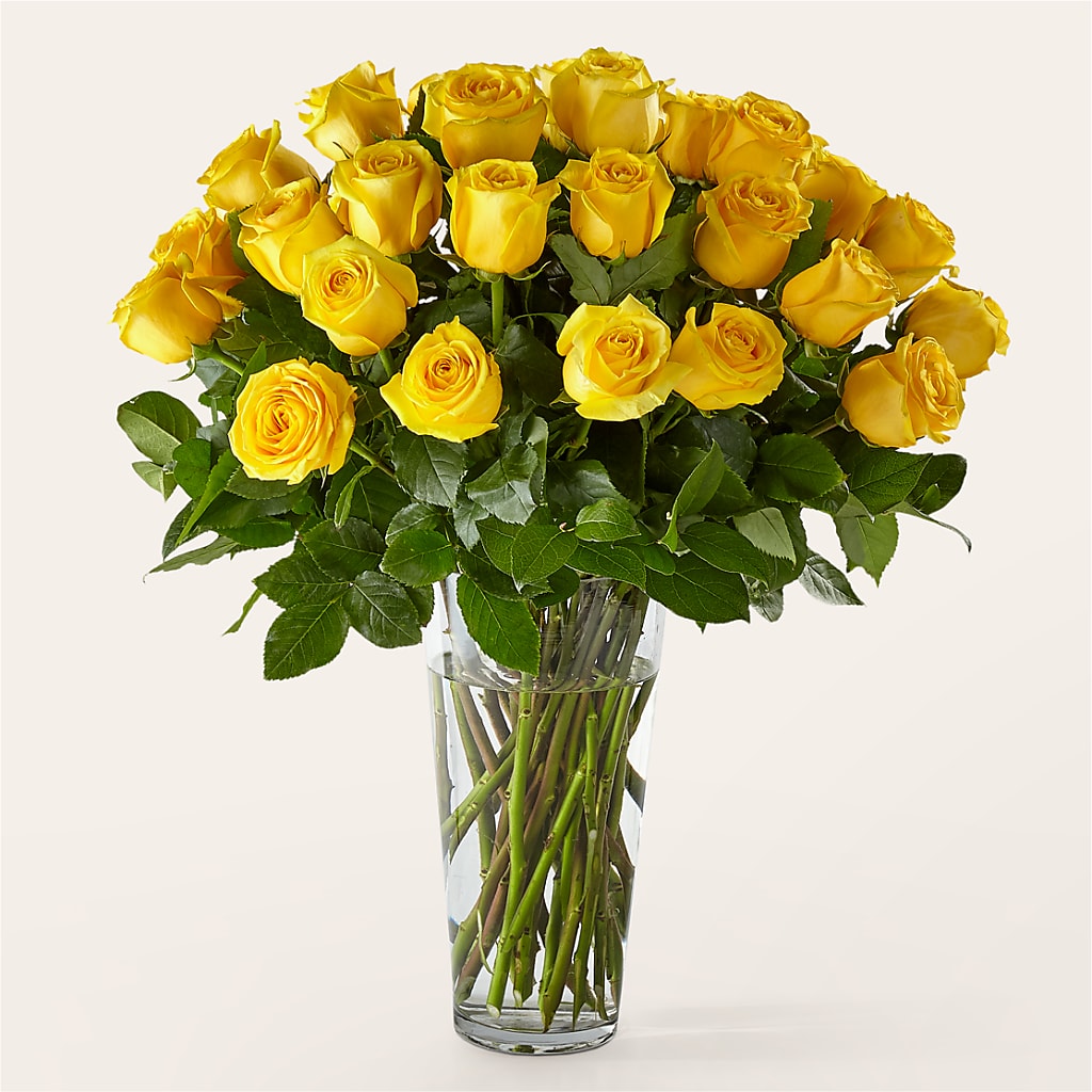 Long Stem Yellow Rose Bouquet – Illusion Flower Shop, Houston TX