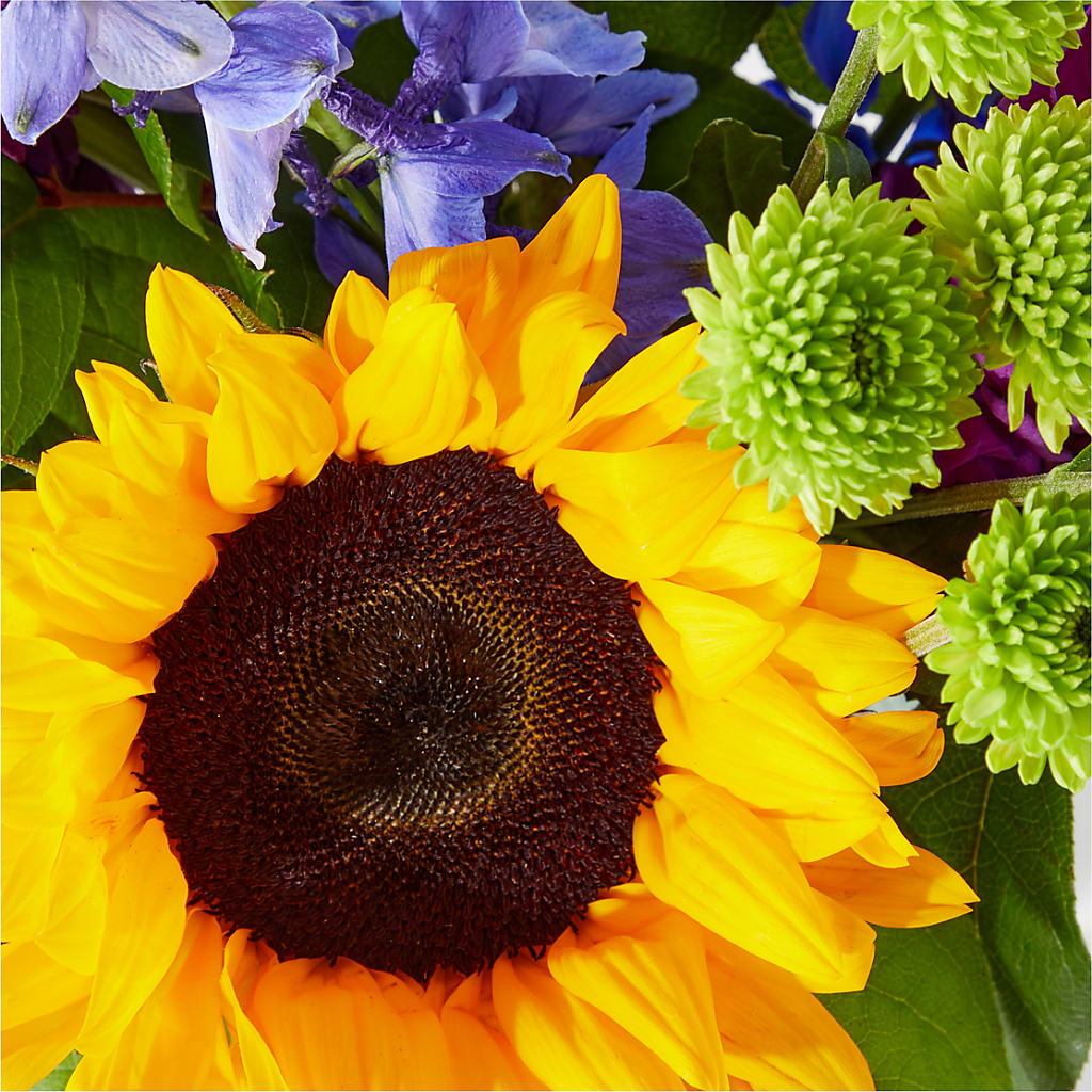 Catching Rays Bouquet – Illusion Flower Shop, Houston TX