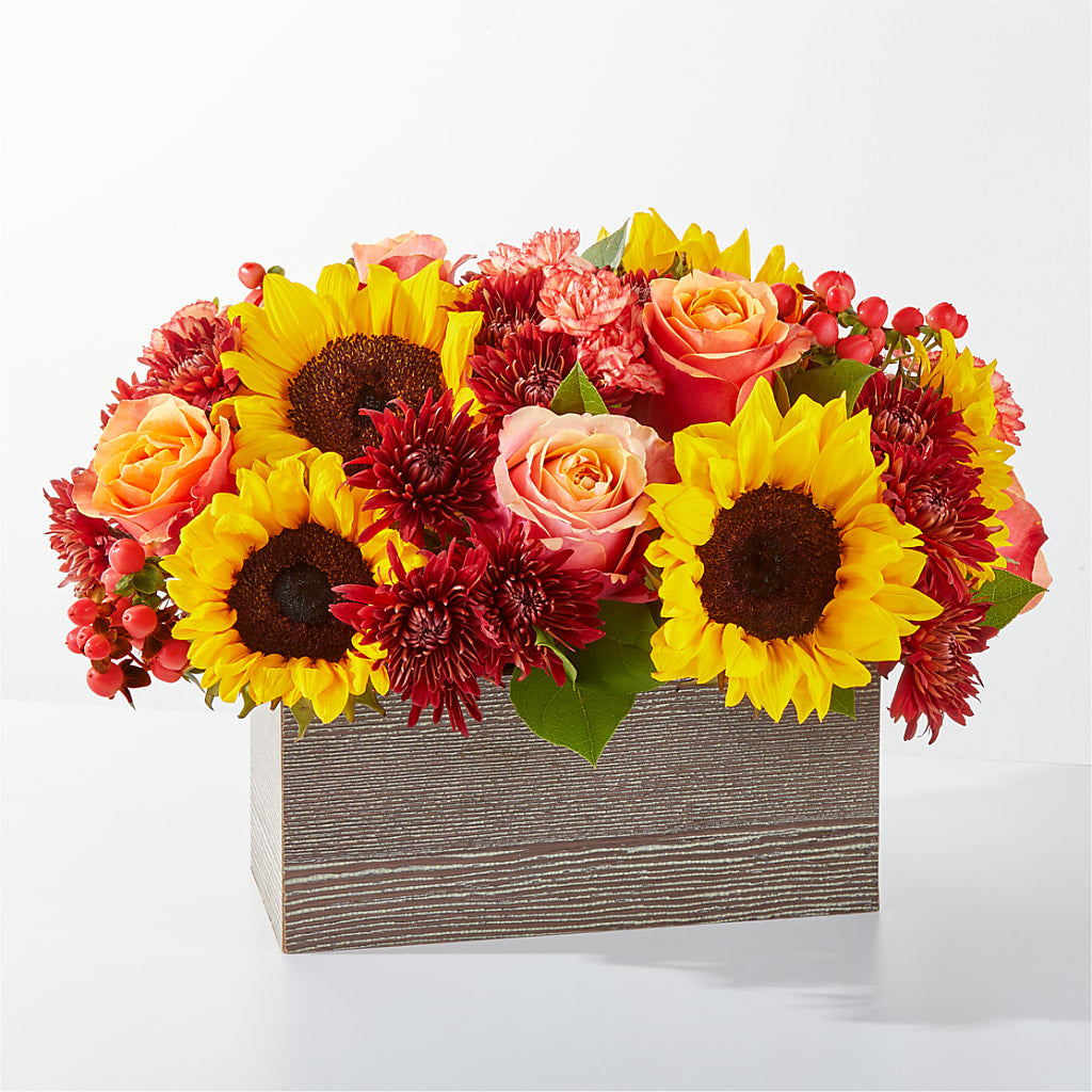 Fresh Cider Bouquet – Illusion Flower Shop, Houston TX