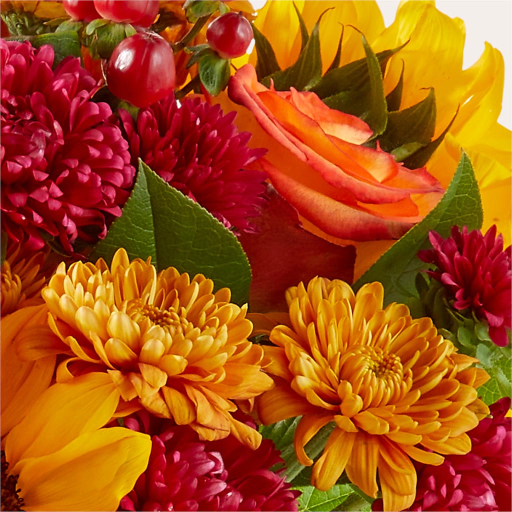 Sweater Season - A Florist Original – Illusion Flower Shop, Houston TX