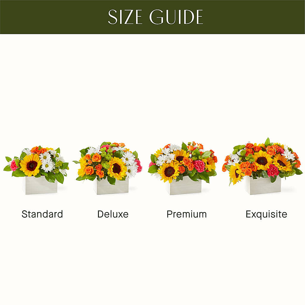 Sun-drenched Blooms Box Bouquet – Illusion Flower Shop, Houston TX