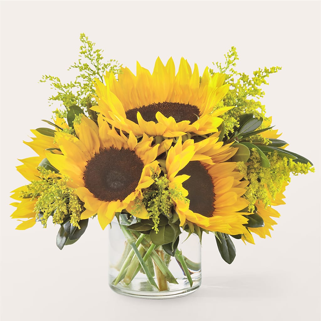 Beaming Sunflower Bouquet – Illusion Flower Shop, Houston TX