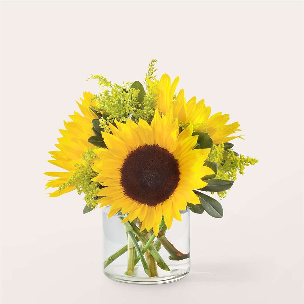 Beaming Sunflower Bouquet – Illusion Flower Shop, Houston TX