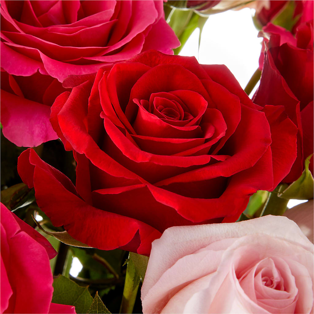 Love Notes Rose Bouquet – Illusion Flower Shop, Houston TX