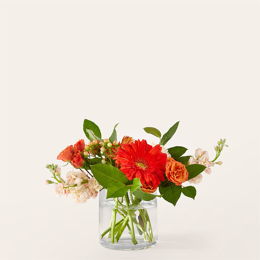 Paloma Please Bouquet – Illusion Flower Shop, Houston TX