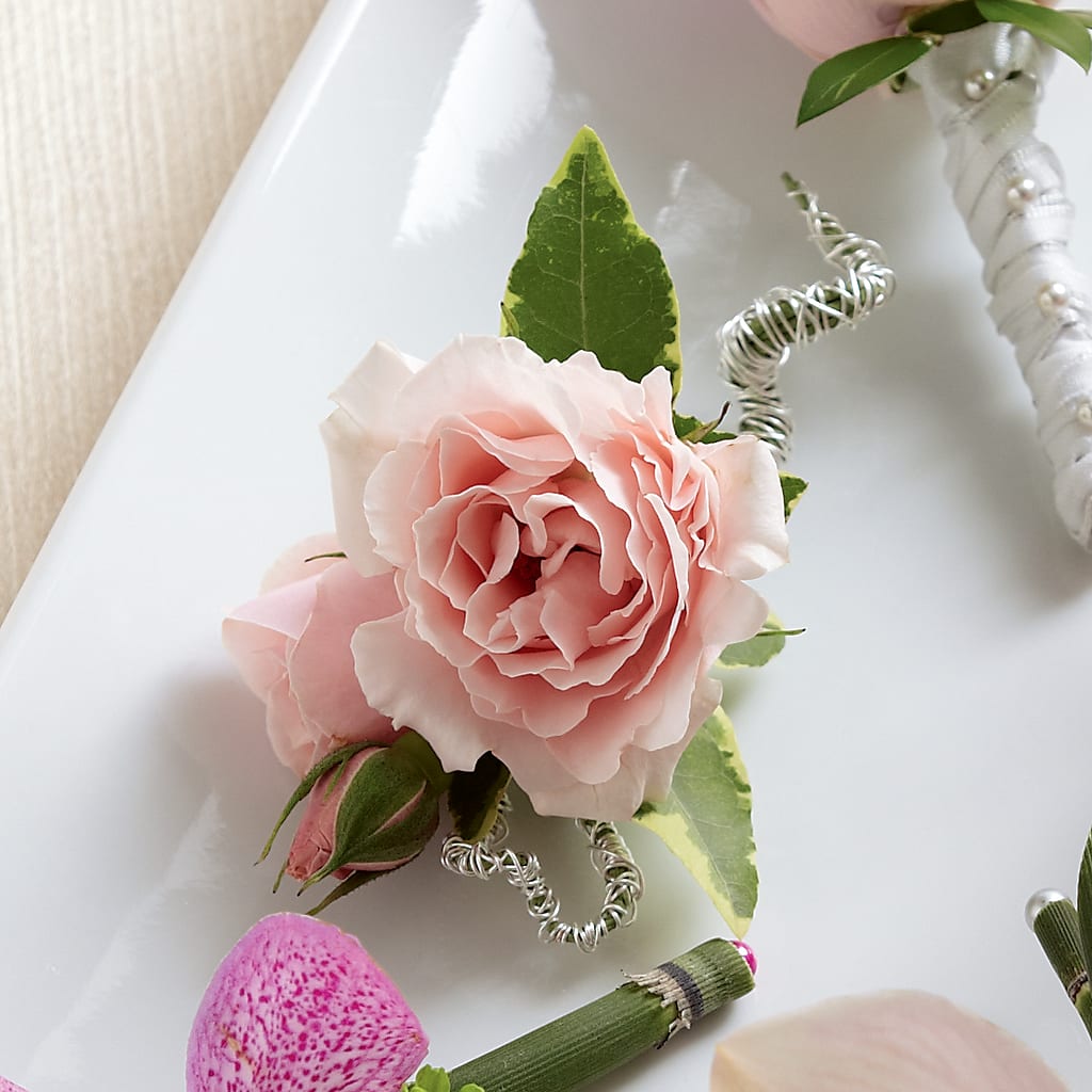 Pink Spray Rose Boutonniere – Illusion Flower Shop, Houston TX