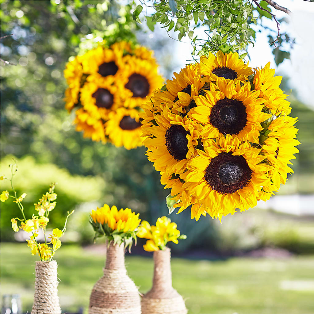 Sublime Garden Hanging Arrangement – Illusion Flower Shop, Houston TX