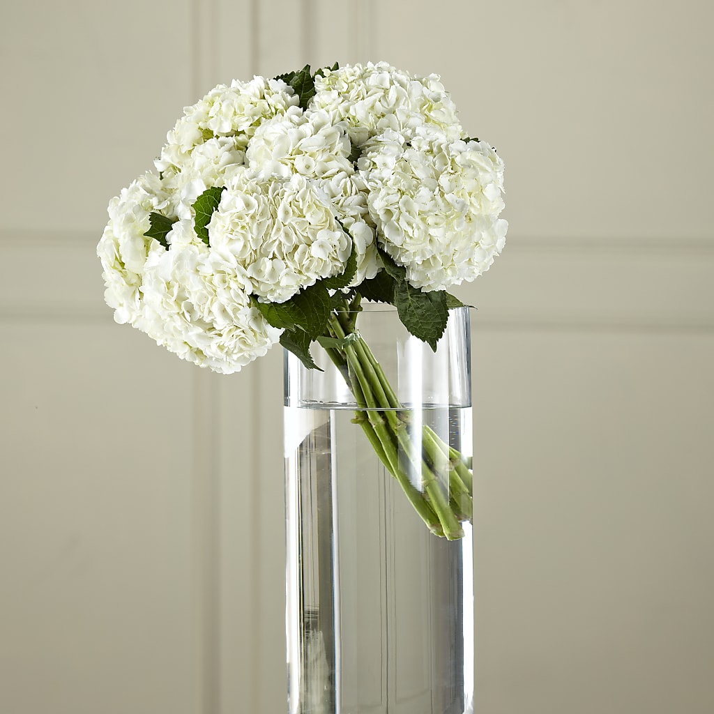 White Hydrangea Hand-Tied Bouquet – Illusion Flower Shop, Houston TX