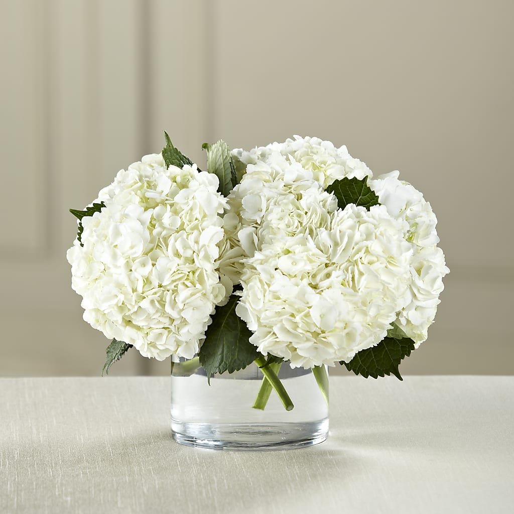 White Hydrangea Bouquet – Illusion Flower Shop, Houston TX