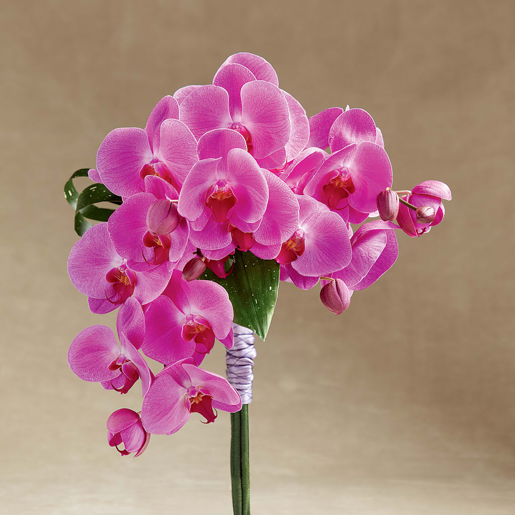 Glorious Bouquet – Illusion Flower Shop, Houston TX