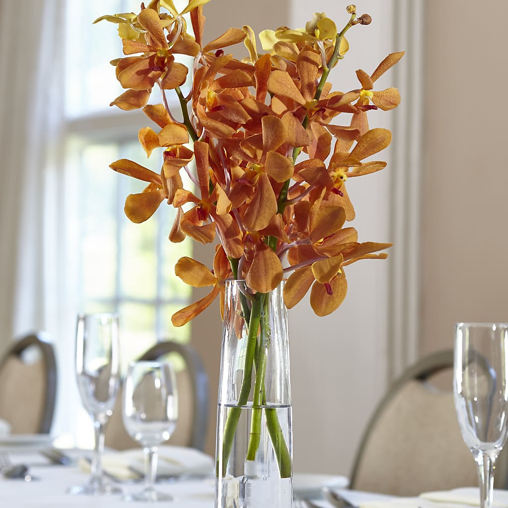 Orange Mokara Bud Vase – Illusion Flower Shop, Houston TX