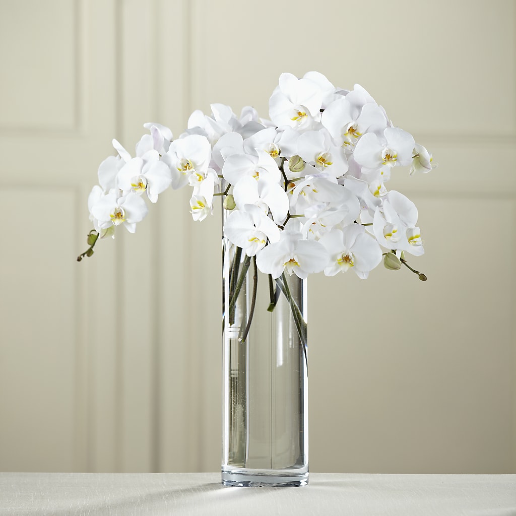 White Phalaenopsis Bouquet – Illusion Flower Shop, Houston TX
