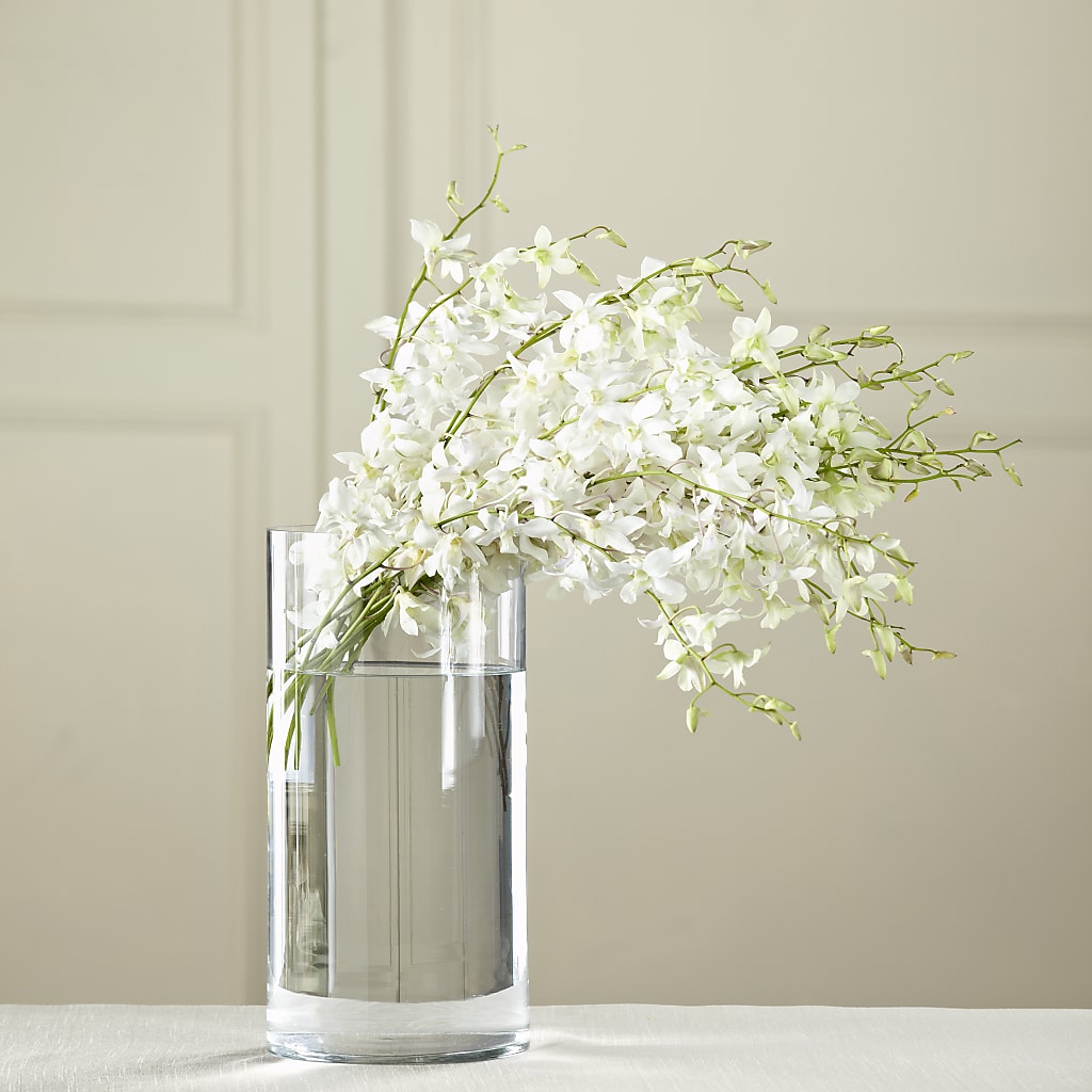 White Dendrobium Bouquet – Illusion Flower Shop, Houston TX