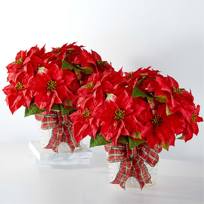 Happiest Holidays Poinsettia Bundle –  Illusion Flower Shop, Houston TX