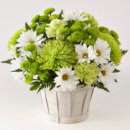 Lucky Charm Basket (Standard) –  Illusion Flower Shop, Houston TX