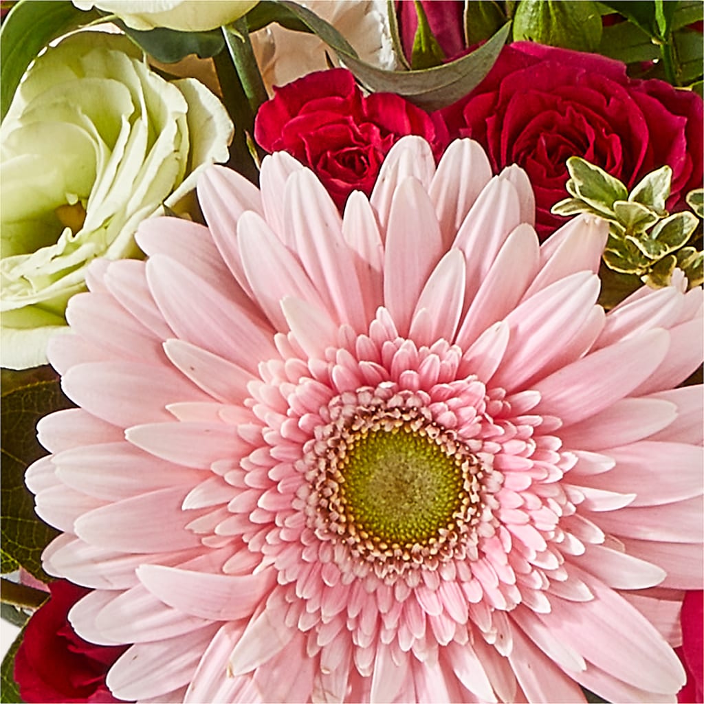 Too Cute Bouquet –  Illusion Flower Shop, Houston TX