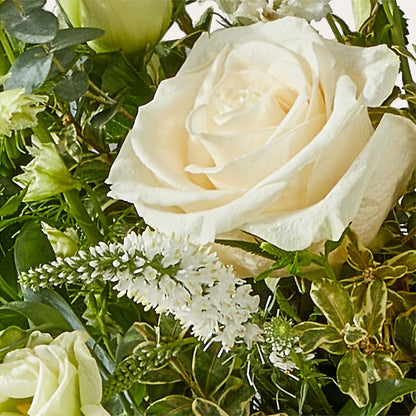Cashmere Bouquet –  Illusion Flower Shop, Houston TX