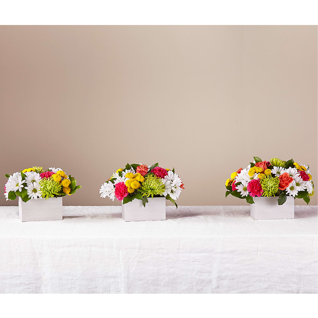 Sorbet Bouquet –  Illusion Flower Shop, Houston TX