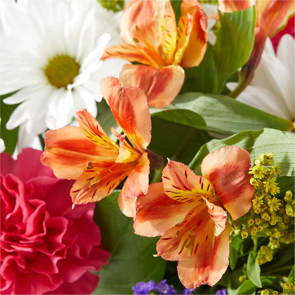Oopsie Daisy Box Bouquet –  Illusion Flower Shop, Houston TX