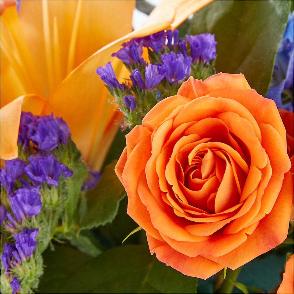 Radiant Citrus Box Bouquet –  Illusion Flower Shop, Houston TX