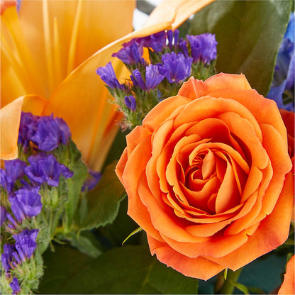 Radiant Citrus Box Bouquet –  Illusion Flower Shop, Houston TX