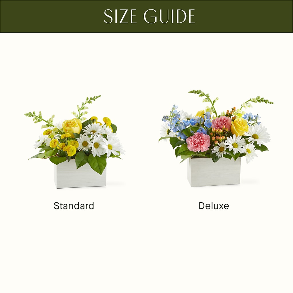 Sun Salutation Box Bouquet –  Illusion Flower Shop, Houston TX