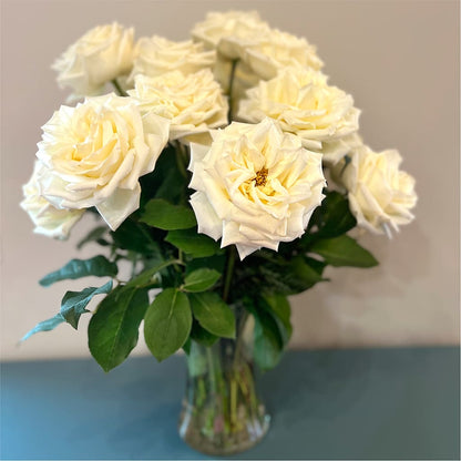 Long Stem Yellow Rose Bouquet –  Illusion Flower Shop, Houston TX