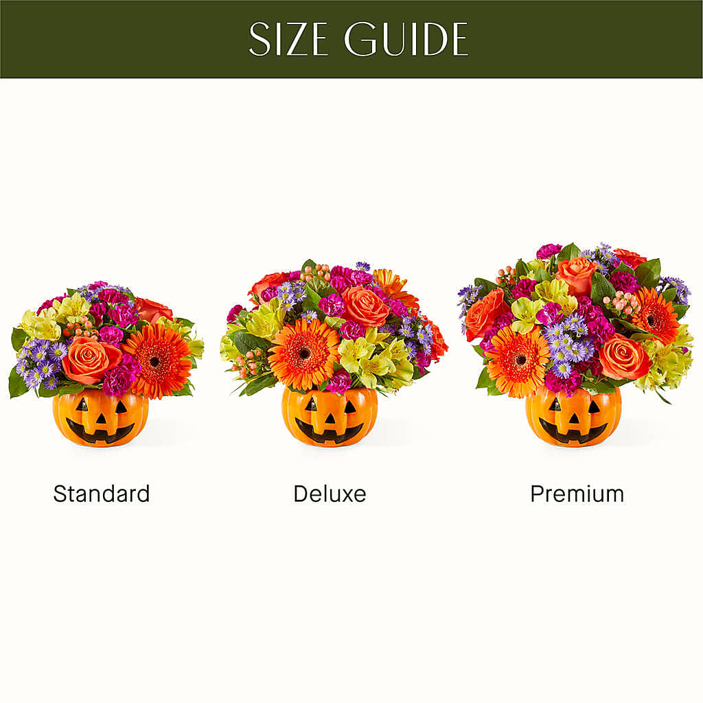 Tricks & Treats Pumpkin –  Illusion Flower Shop, Houston TX