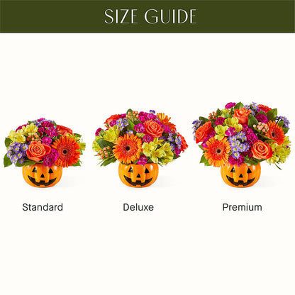 Tricks & Treats Pumpkin –  Illusion Flower Shop, Houston TX