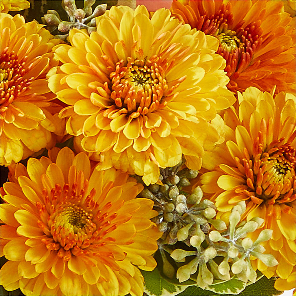Peachy Pumpkin –  Illusion Flower Shop, Houston TX