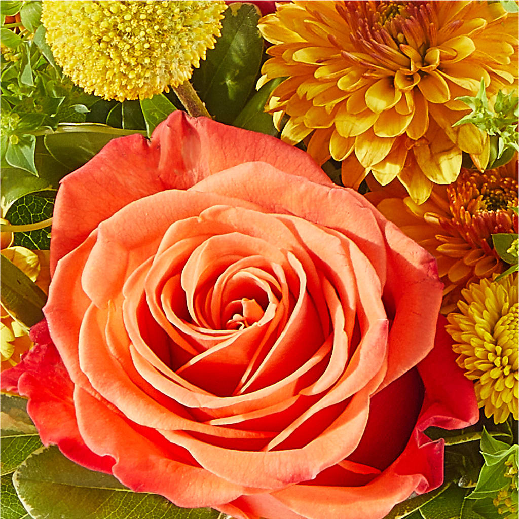 Gourdgeous Pumpkin –  Illusion Flower Shop, Houston TX