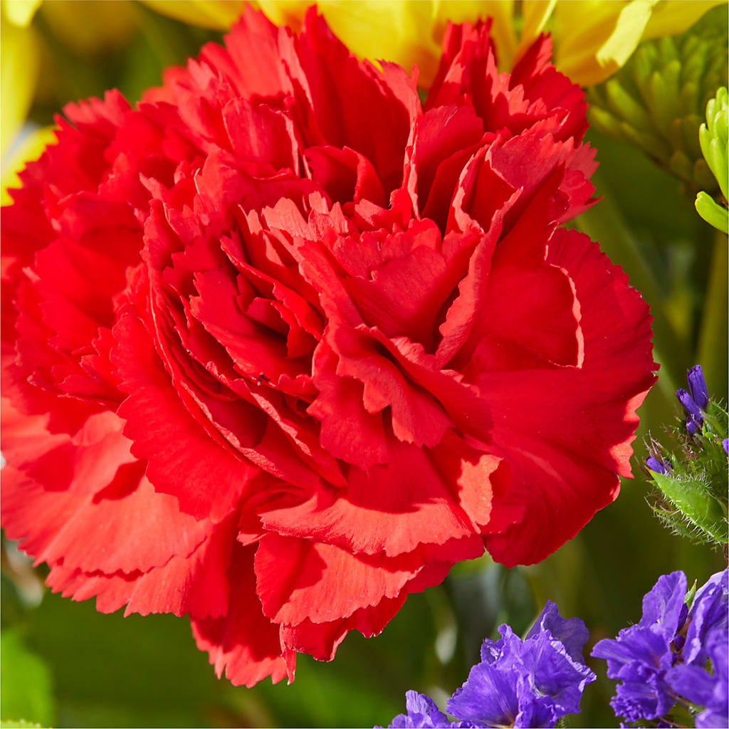 Brighter Days Bouquet –  Illusion Flower Shop, Houston TX