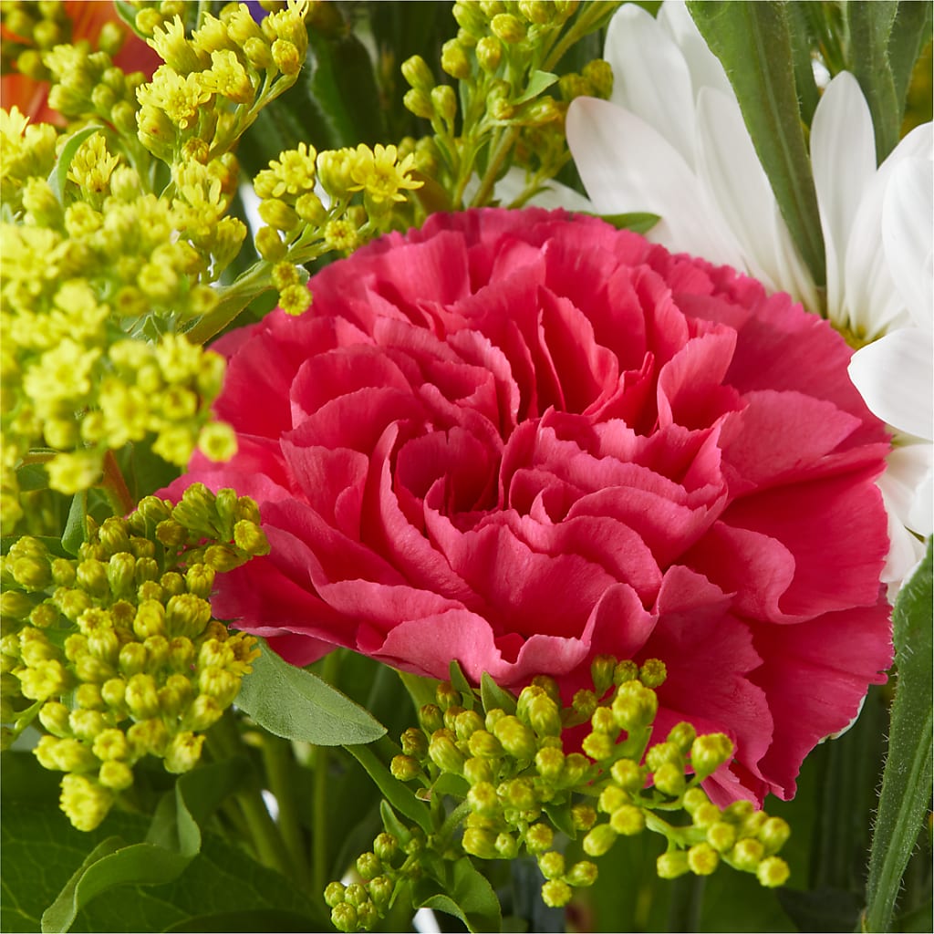 Oopsie Daisy Bouquet –  Illusion Flower Shop, Houston TX