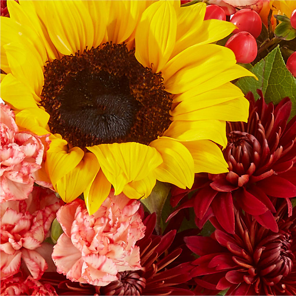 Fresh Cider Bouquet –  Illusion Flower Shop, Houston TX