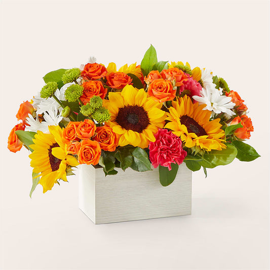 Sun-drenched Blooms Box Bouquet –  Illusion Flower Shop, Houston TX