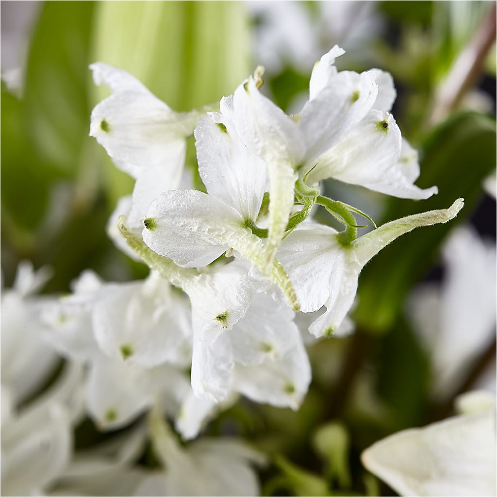 Classic Ivory – A Florist Original –  Illusion Flower Shop, Houston TX