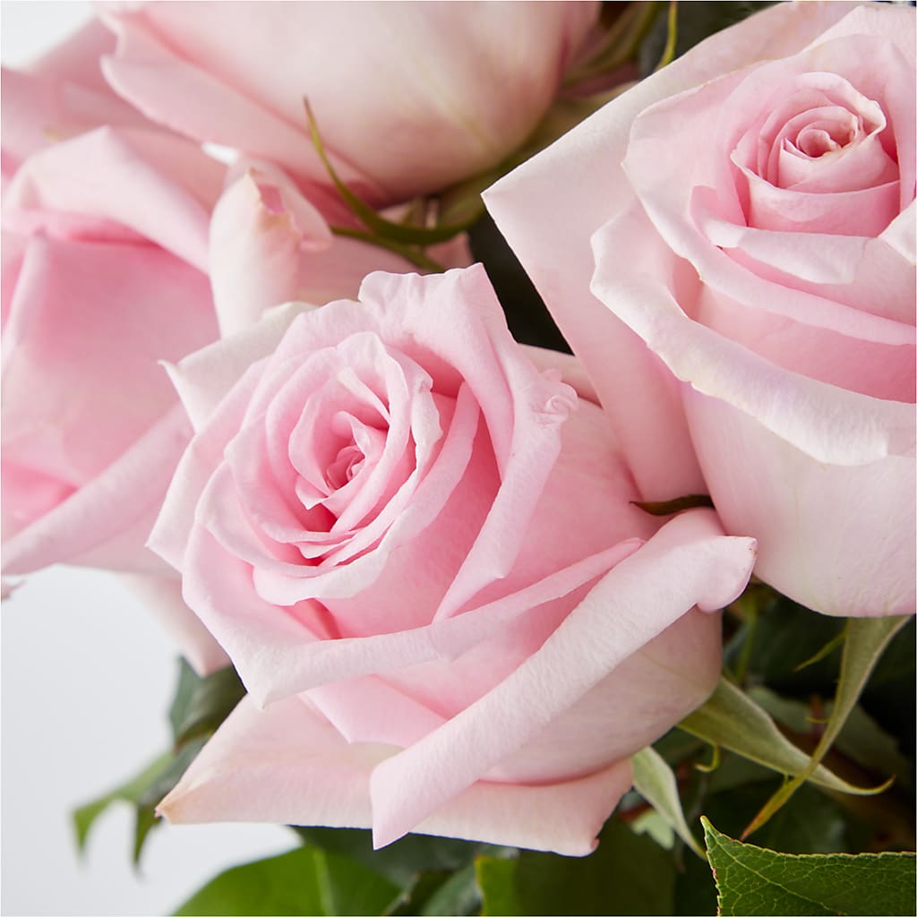 Picture Perfect Pink Rose Bouquet –  Illusion Flower Shop, Houston TX