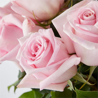 Picture Perfect Pink Rose Bouquet –  Illusion Flower Shop, Houston TX