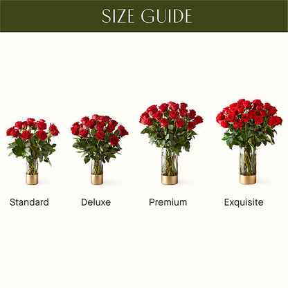 Classic Love Red Rose Bouquet –  Illusion Flower Shop, Houston TX