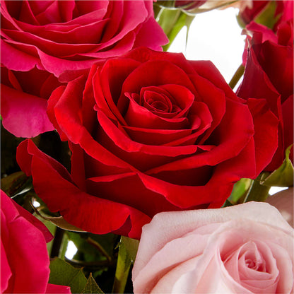 Love Notes Rose Bouquet –  Illusion Flower Shop, Houston TX