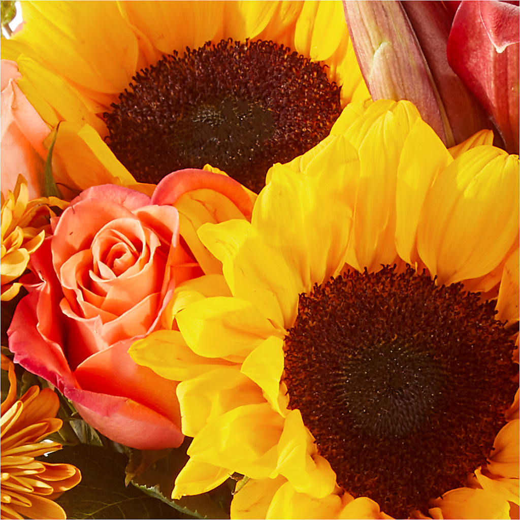 Acorn Lane Bouquet –  Illusion Flower Shop, Houston TX