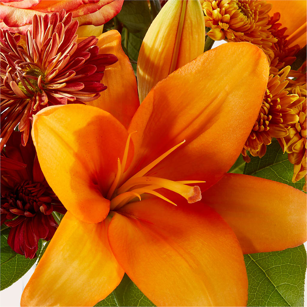 Autumnal Aroma Bouquet –  Illusion Flower Shop, Houston TX