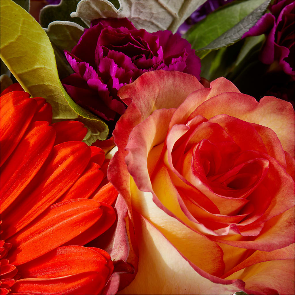 Sangria Bouquet –  Illusion Flower Shop, Houston TX