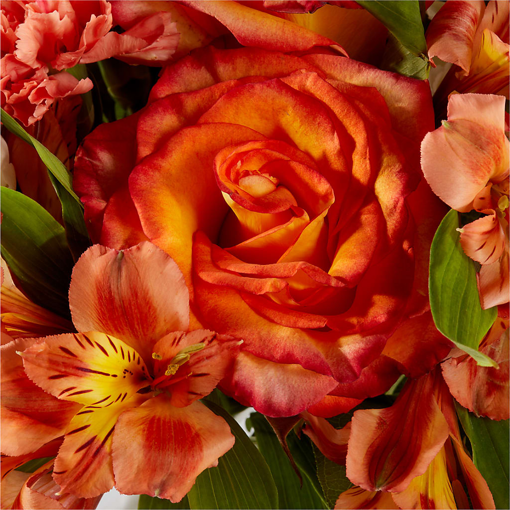 Apricot Glow Bouquet –  Illusion Flower Shop, Houston TX