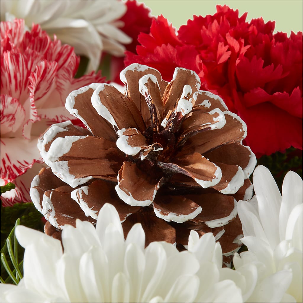 Candy Cane Lane Bouquet –  Illusion Flower Shop, Houston TX