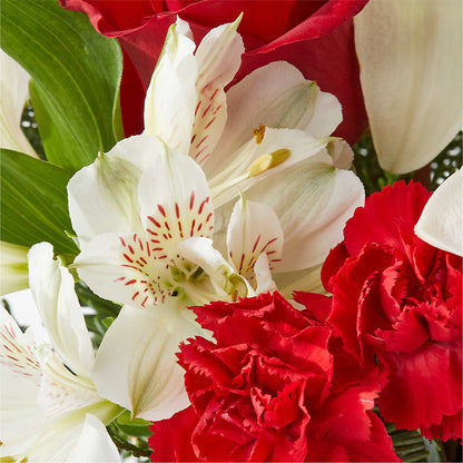 Holiday Season Bouquet –  Illusion Flower Shop, Houston TX